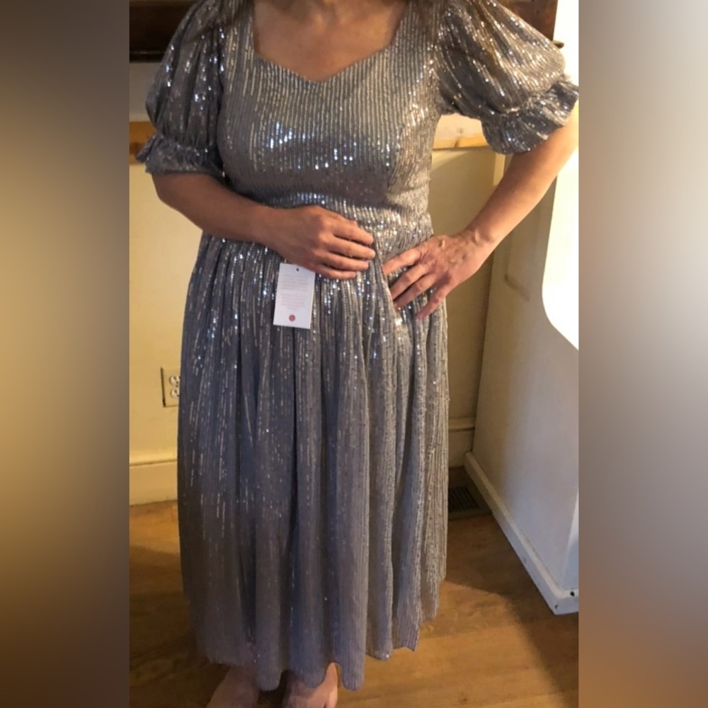 BNWT Ivy City Clara Dress in Gunmetal Sequins size Large.